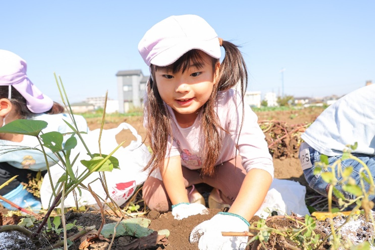 2023年11月１日　芋ほり（5歳児：ひまわり組）