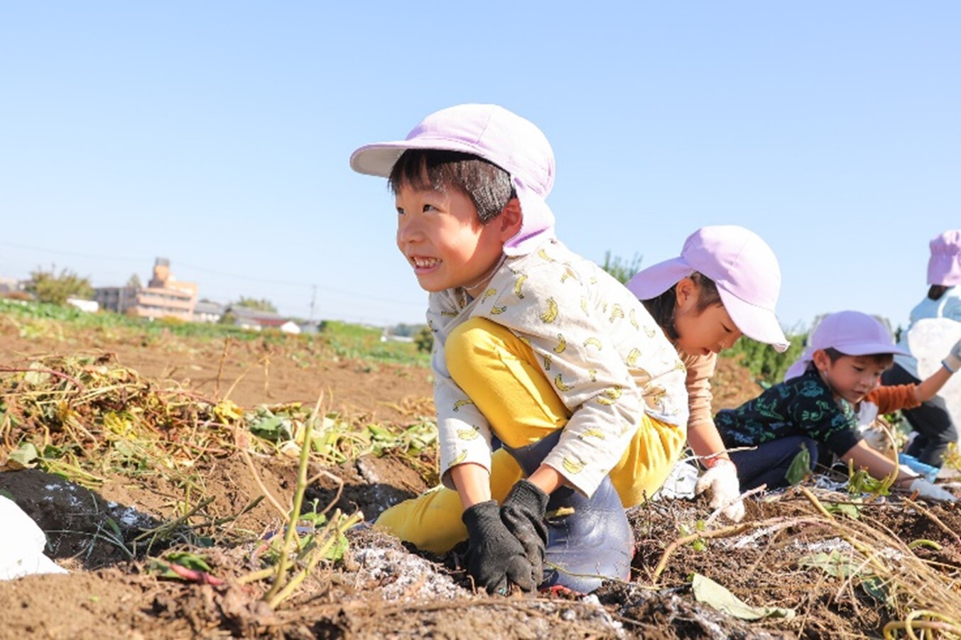 2023年11月１日　芋ほり（5歳児：ひまわり組）