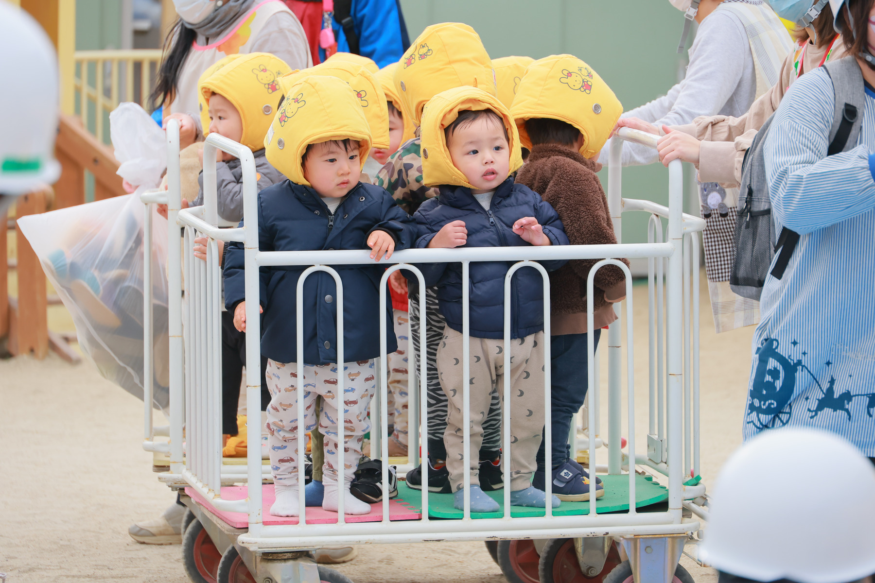 2023年11月16日　交通安全指導（幼児組）