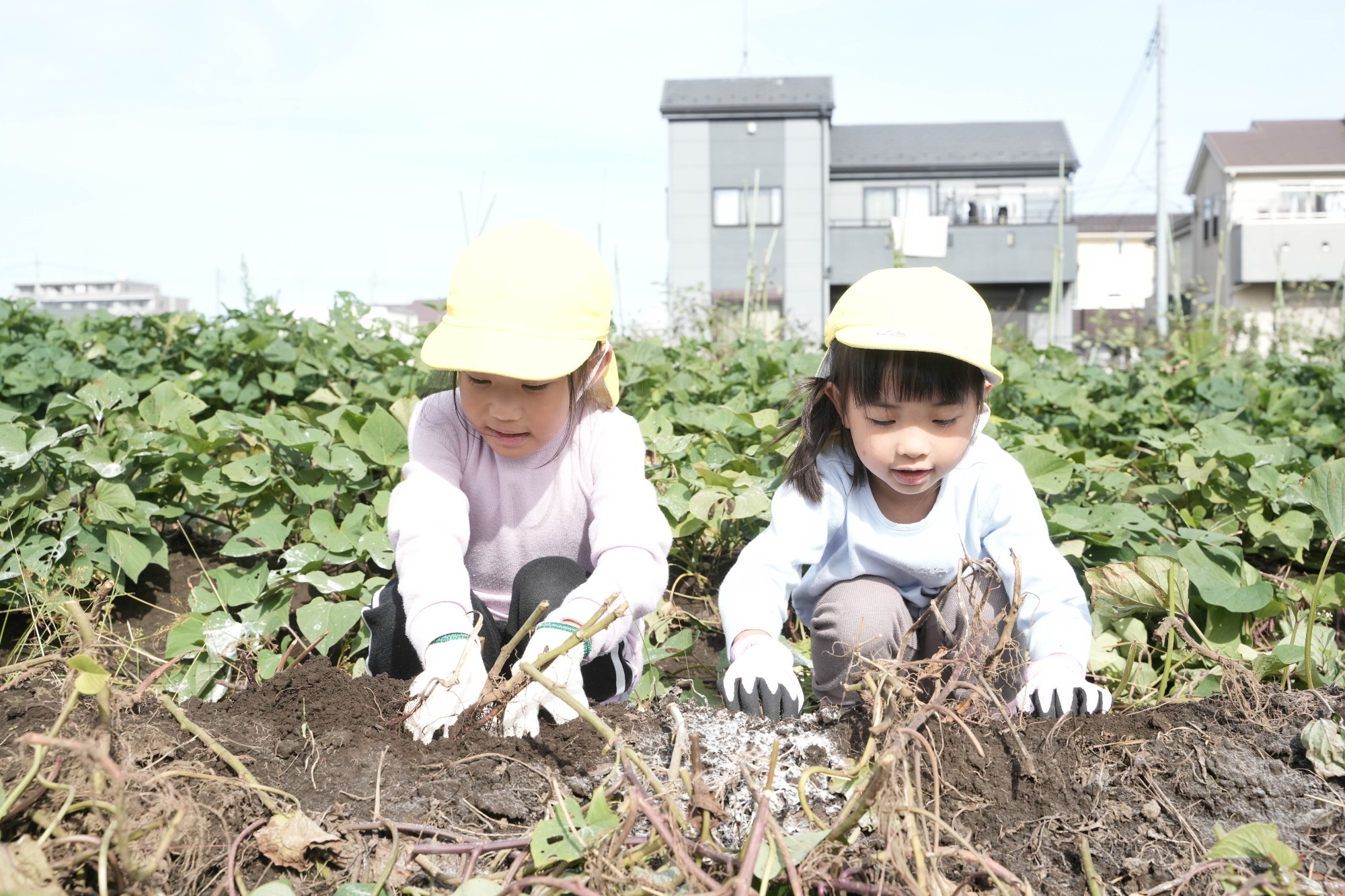 2023年11月16日　交通安全指導（幼児組）