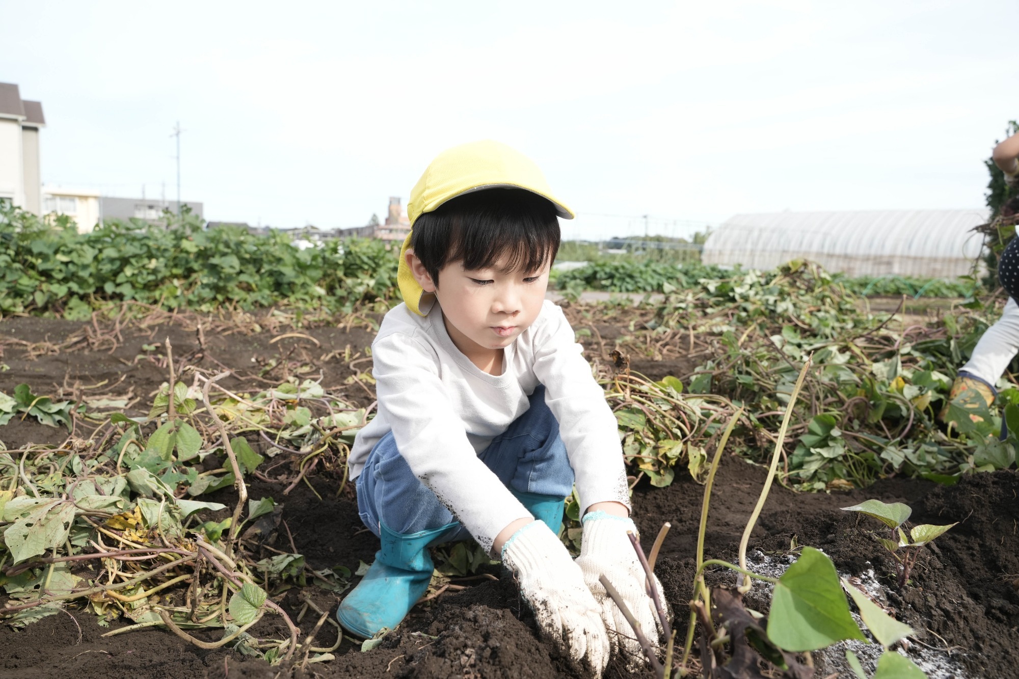 2023年11月16日　交通安全指導（幼児組）