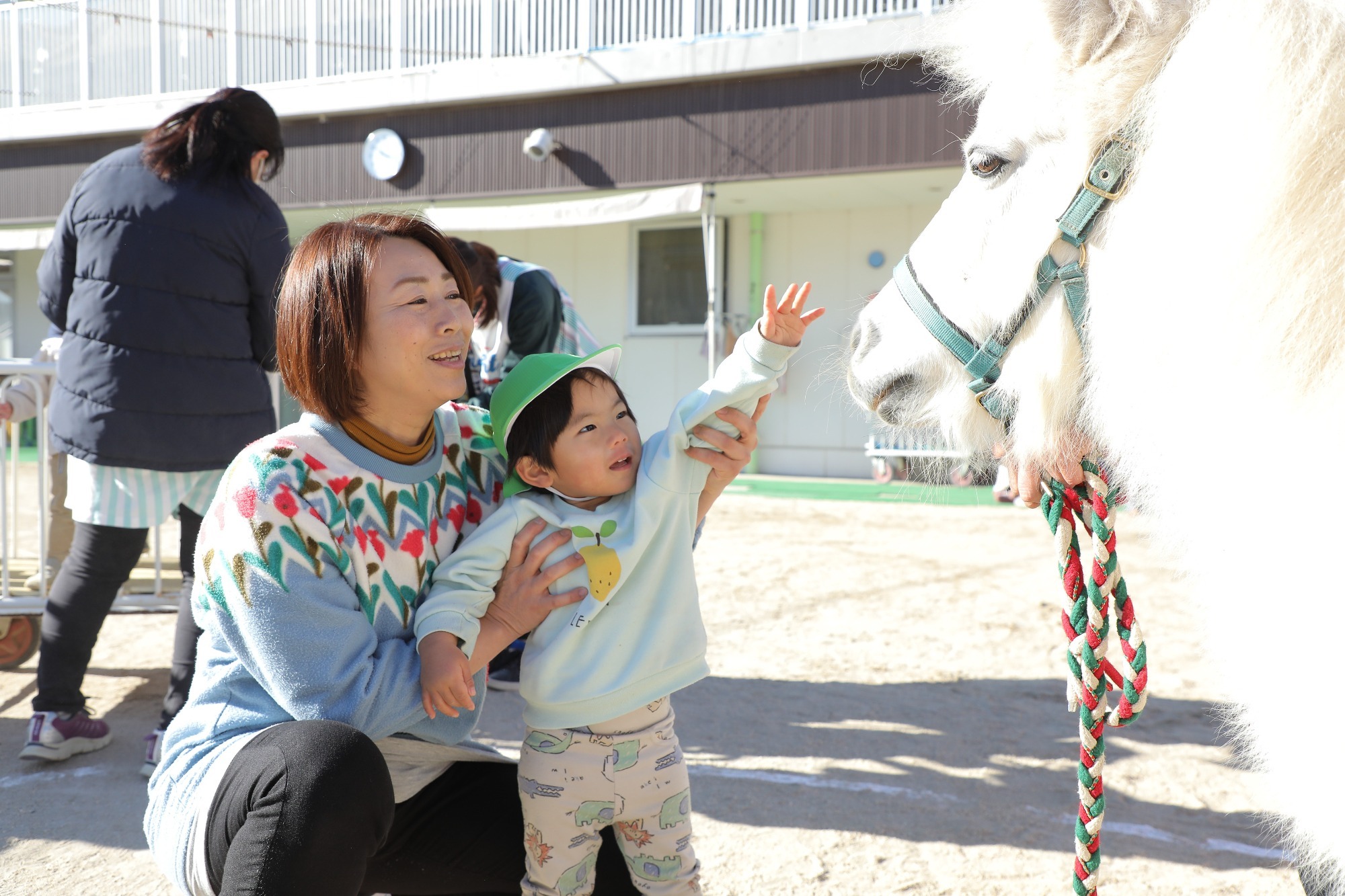 2023年11月16日　交通安全指導（幼児組）