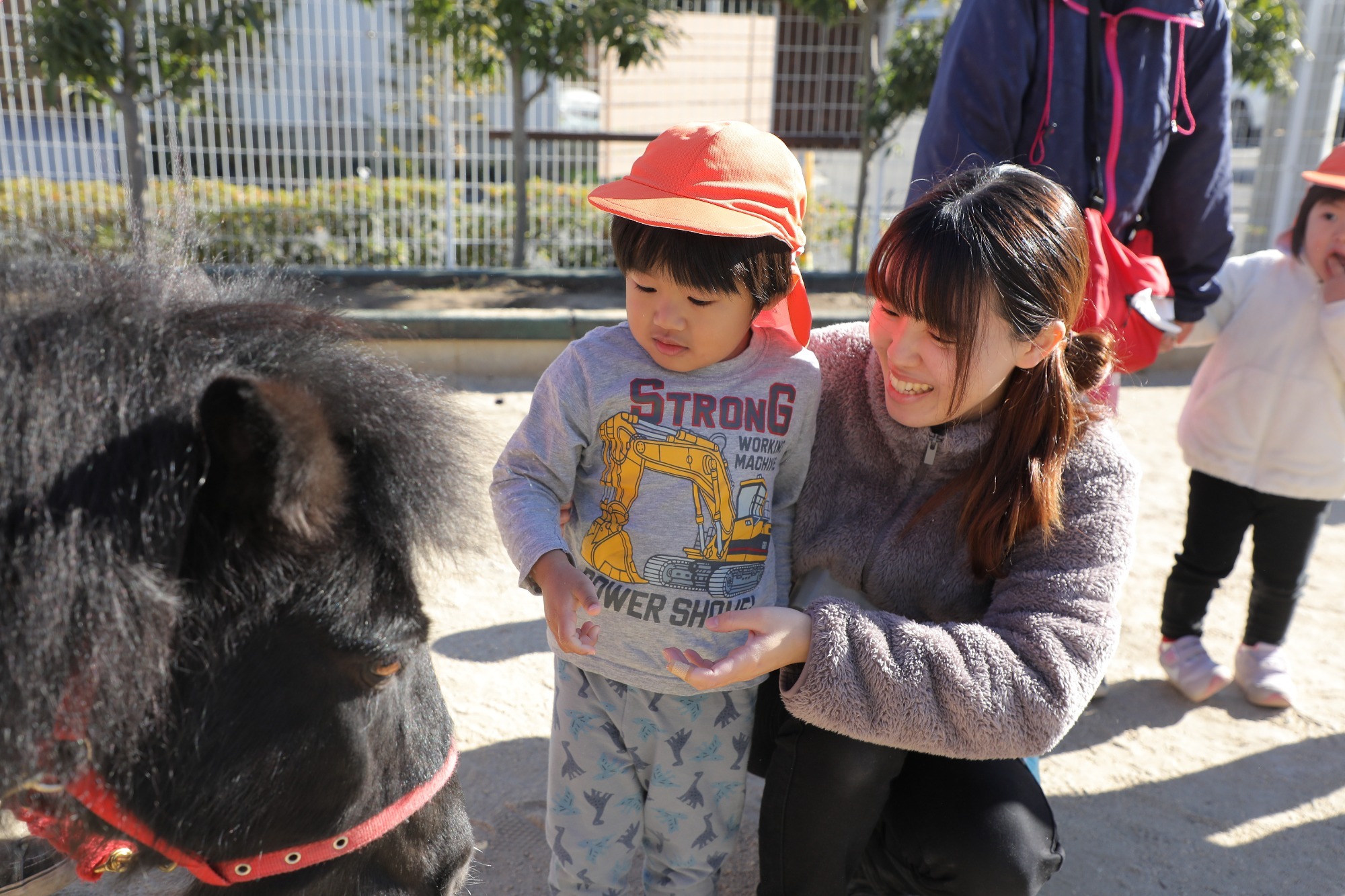 2023年11月16日　交通安全指導（幼児組）