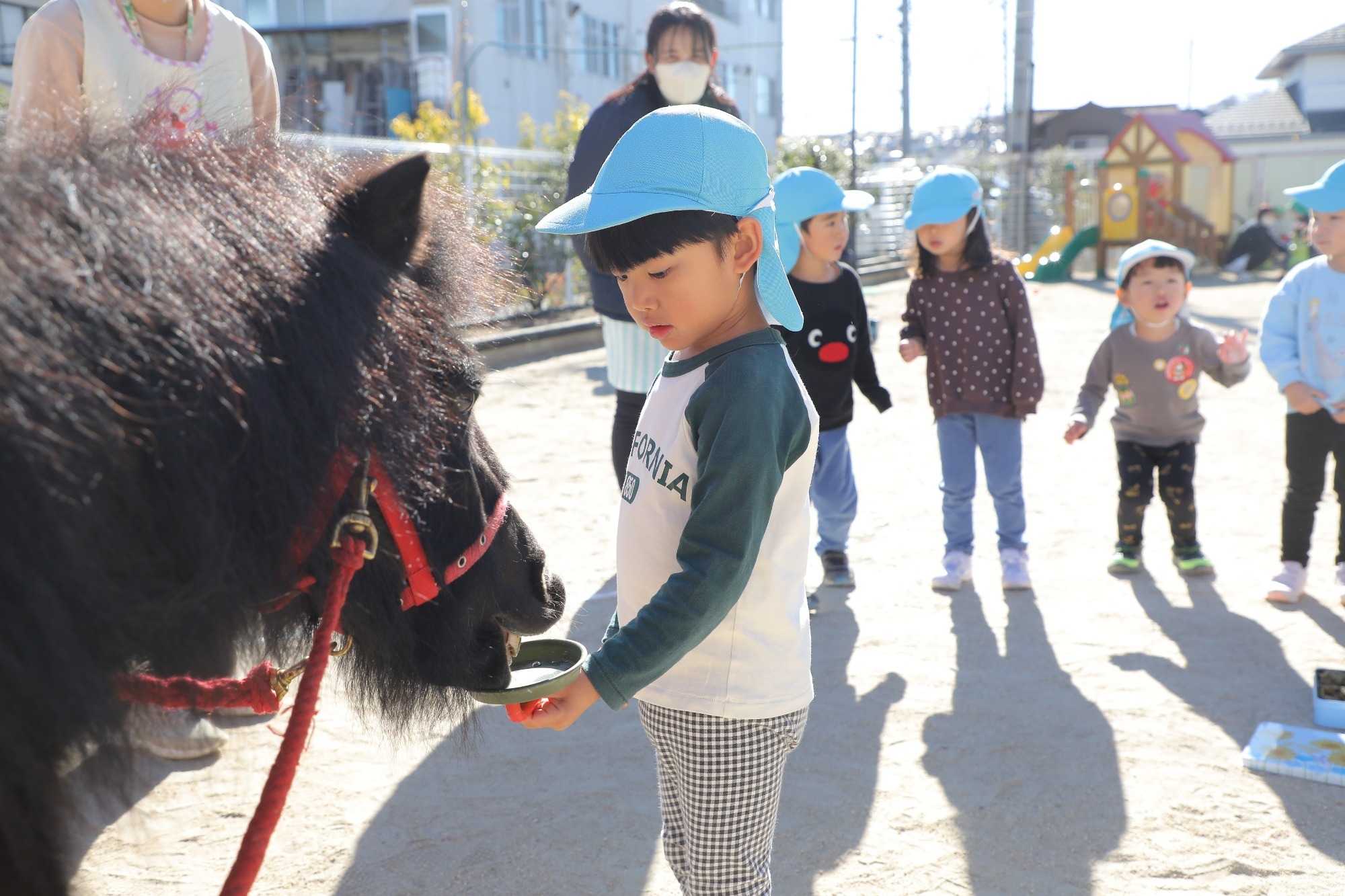 2023年11月16日　交通安全指導（幼児組）
