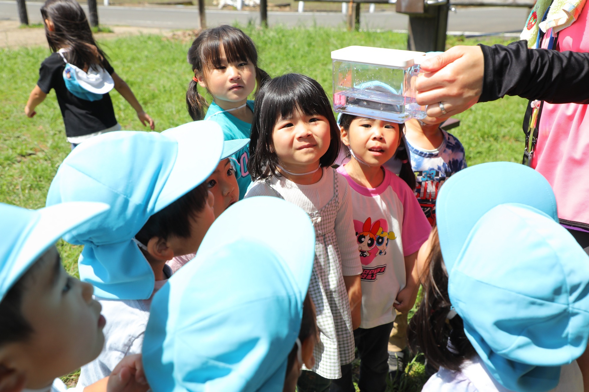 2023年11月16日　交通安全指導（幼児組）