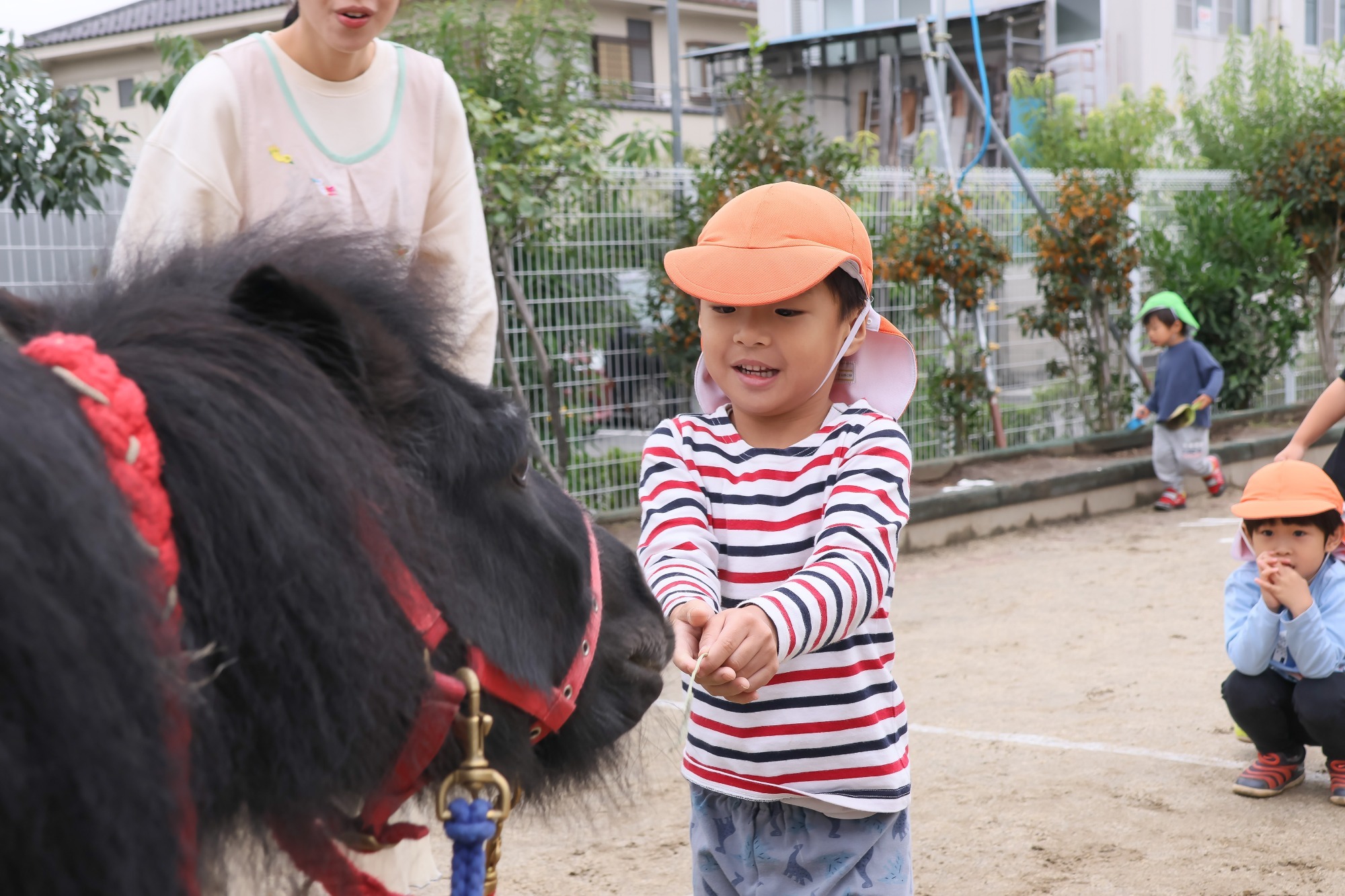 2023年11月16日 交通安全指導(幼児組)