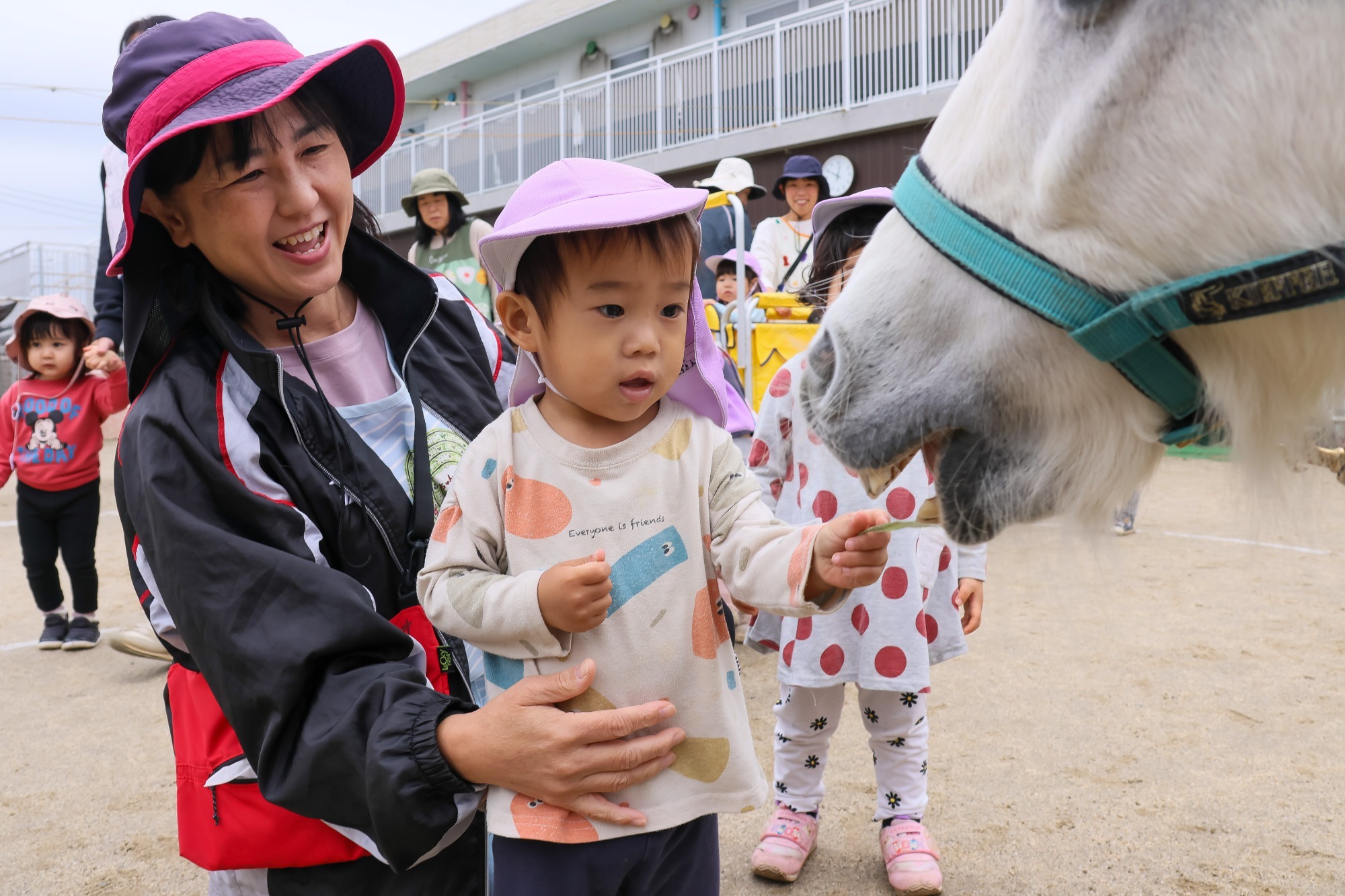 2023年11月16日 交通安全指導(幼児組)