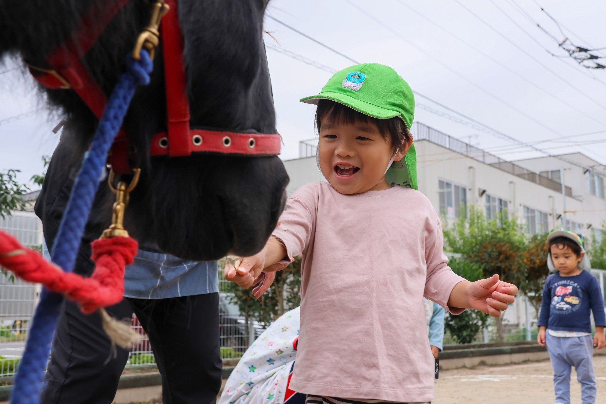 2023年11月16日　交通安全指導（幼児組）