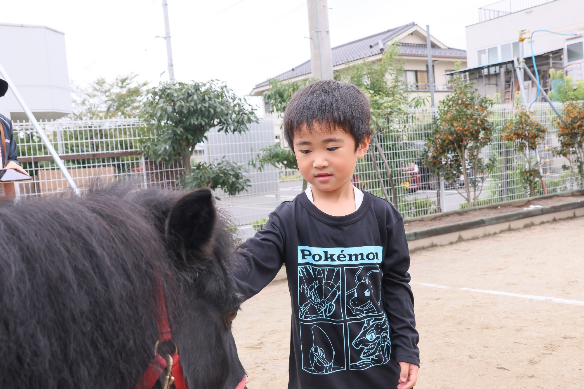 2023年11月16日 交通安全指導(幼児組)