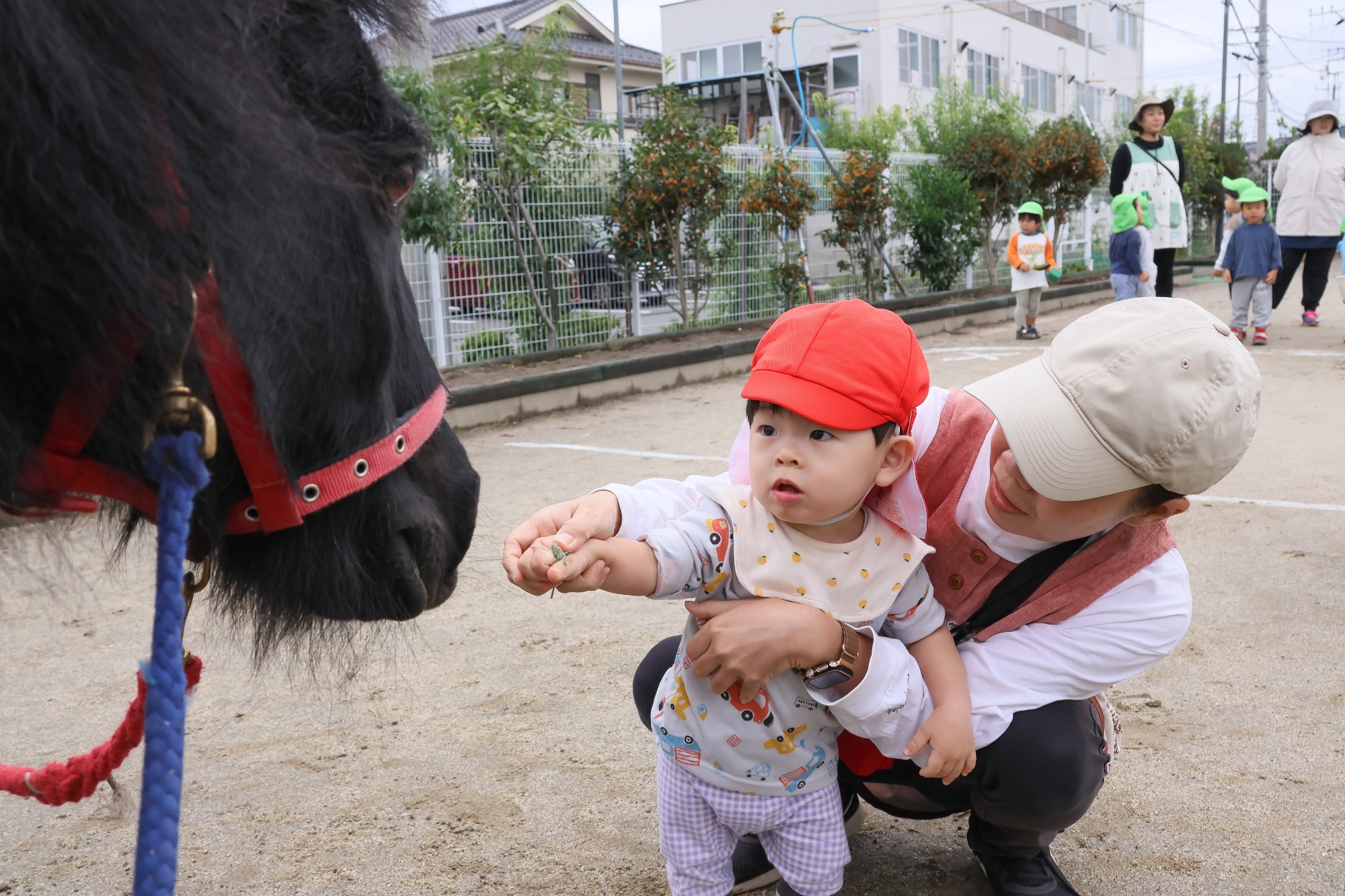 2023年11月16日　交通安全指導（幼児組）
