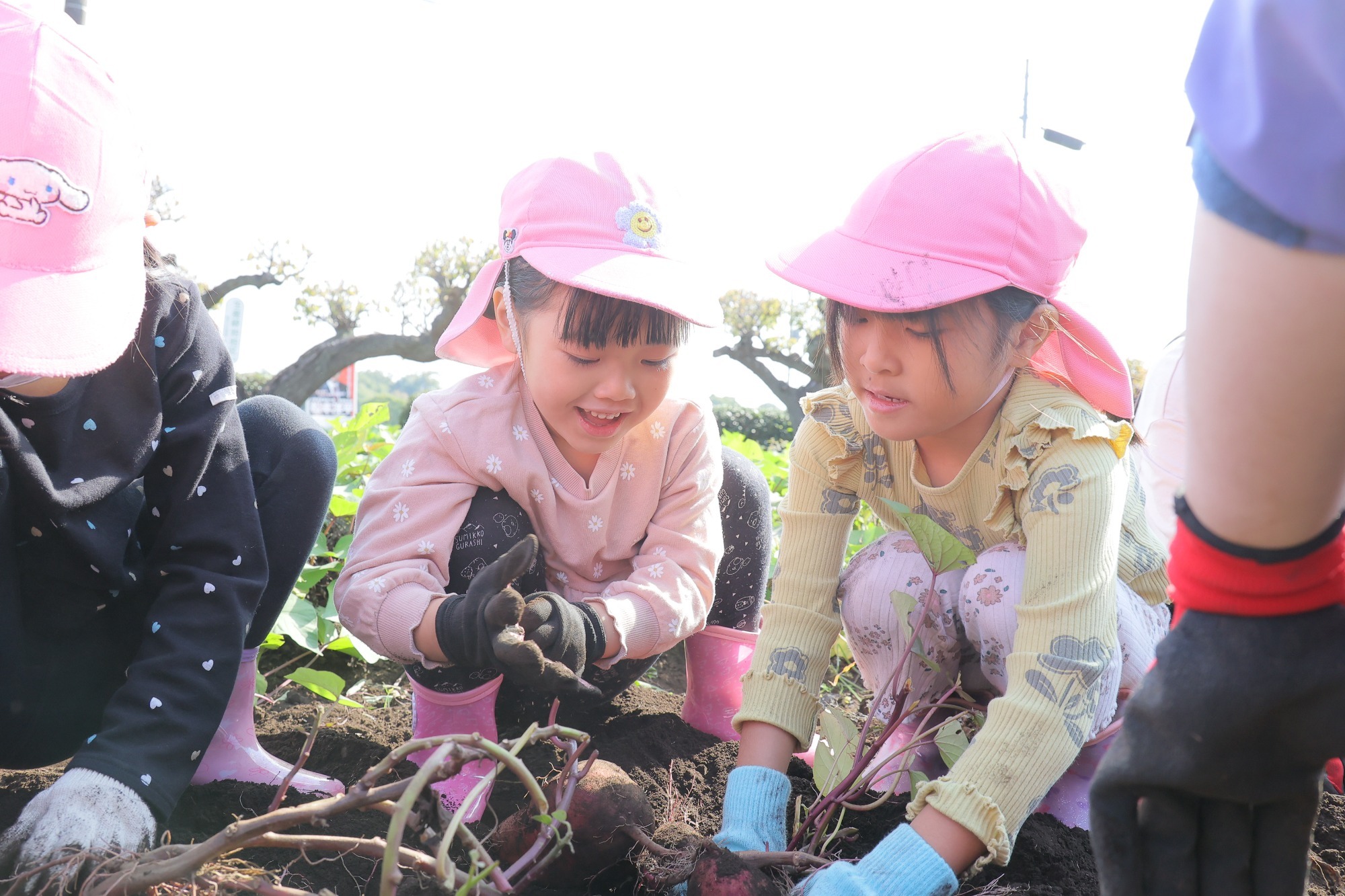 2023年11月16日　交通安全指導（幼児組）