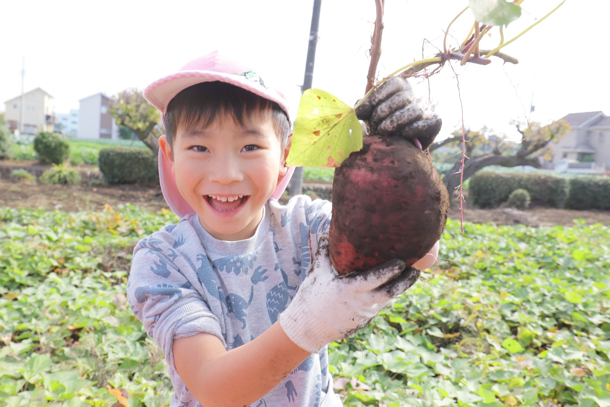 2023年11月16日　交通安全指導（幼児組）