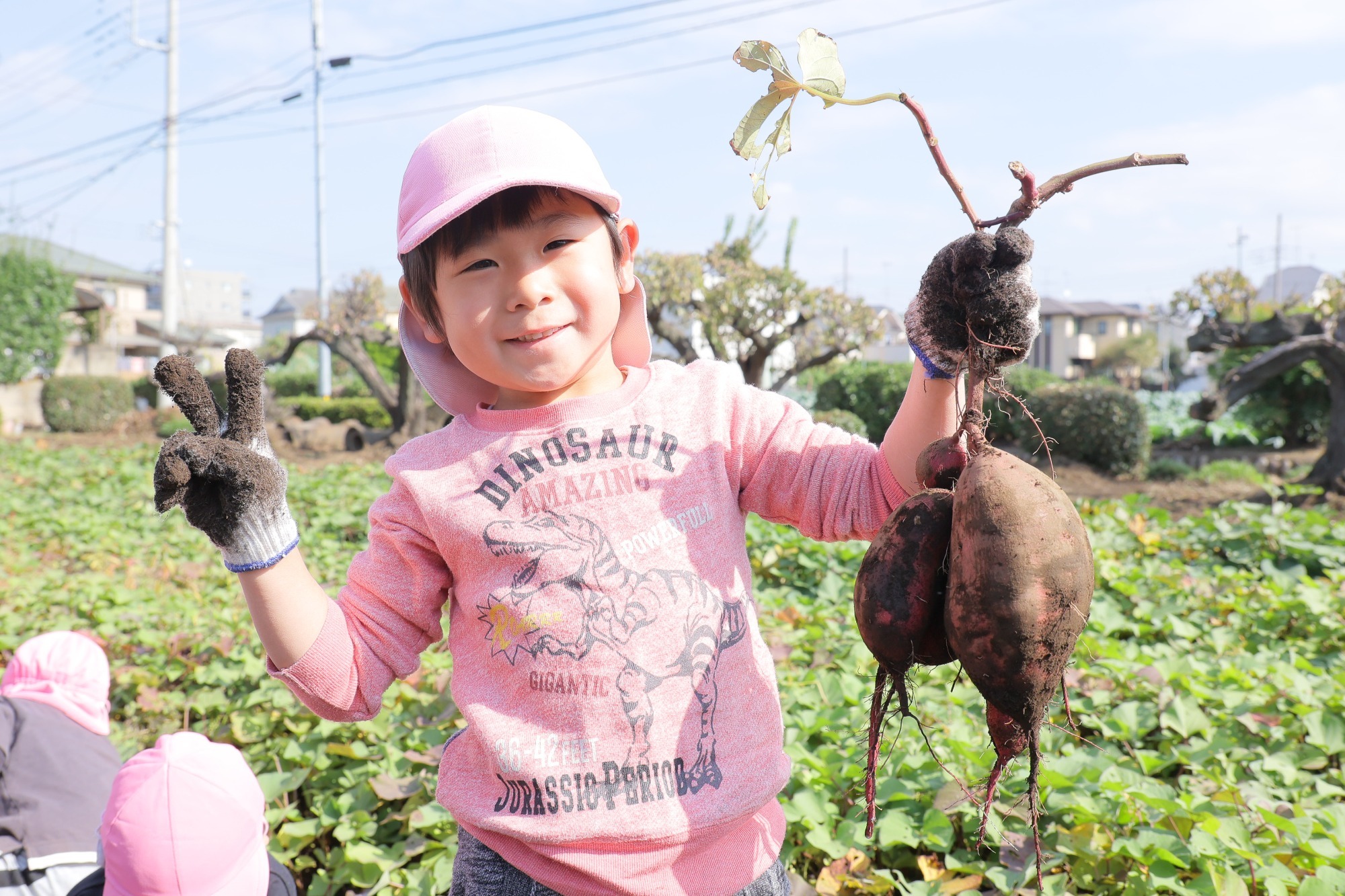 2023年11月16日 交通安全指導(幼児組)