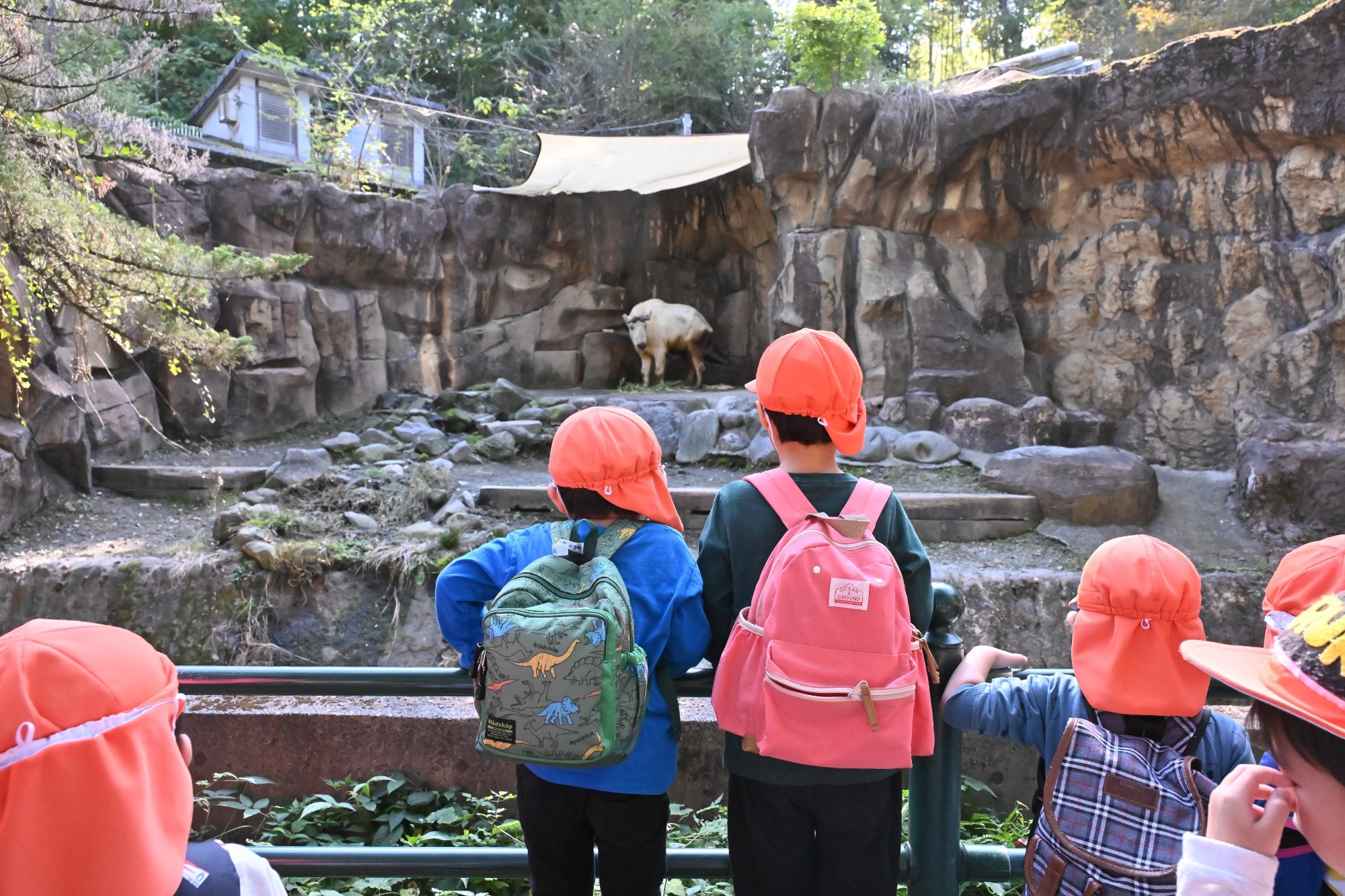 2023年11月16日 交通安全指導(幼児組)