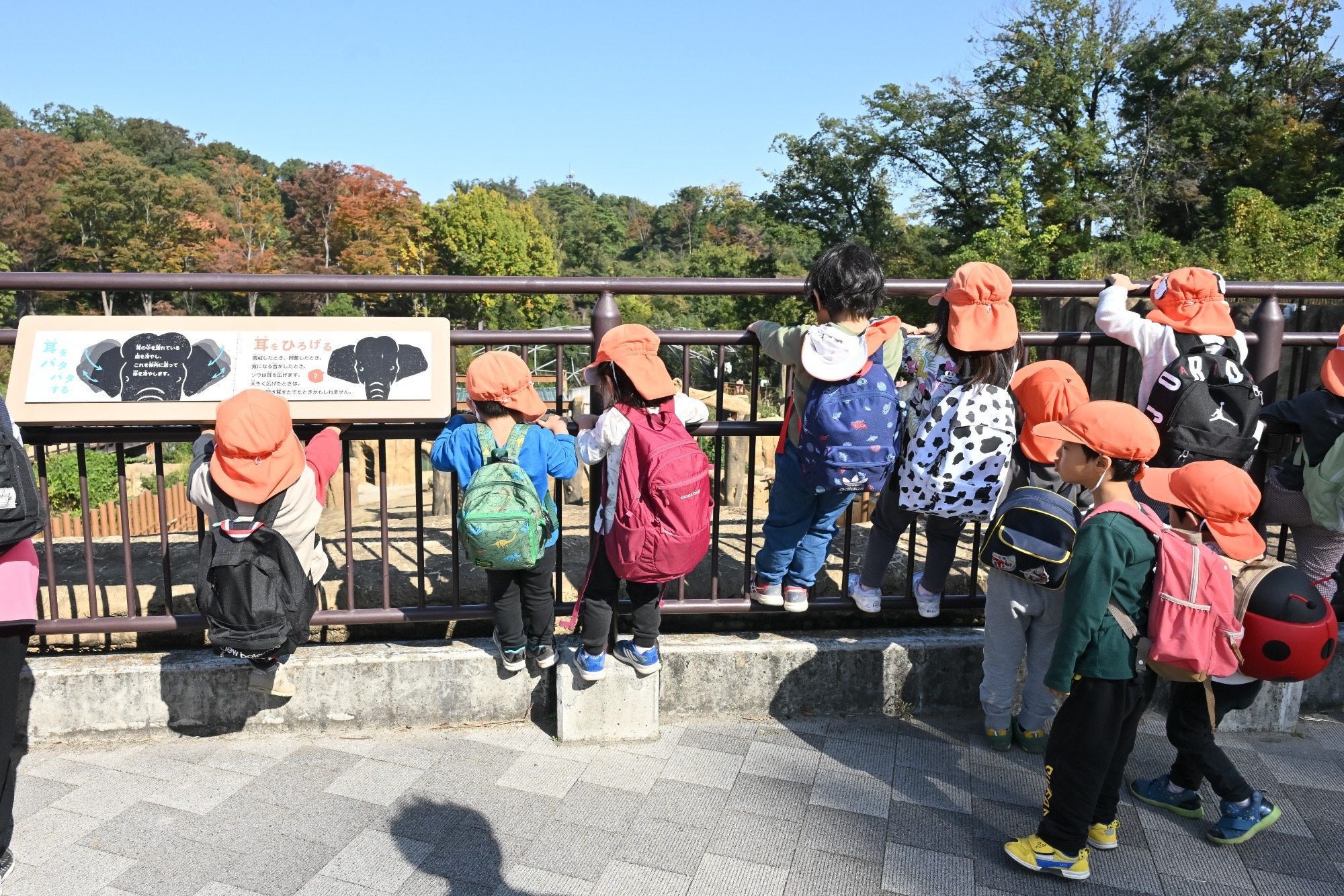 2023年11月16日　交通安全指導（幼児組）