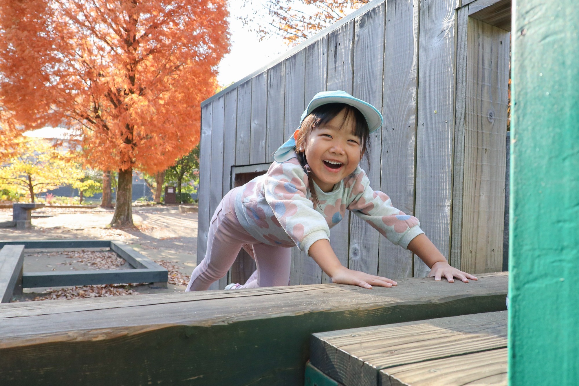 2023年11月16日 交通安全指導(幼児組)