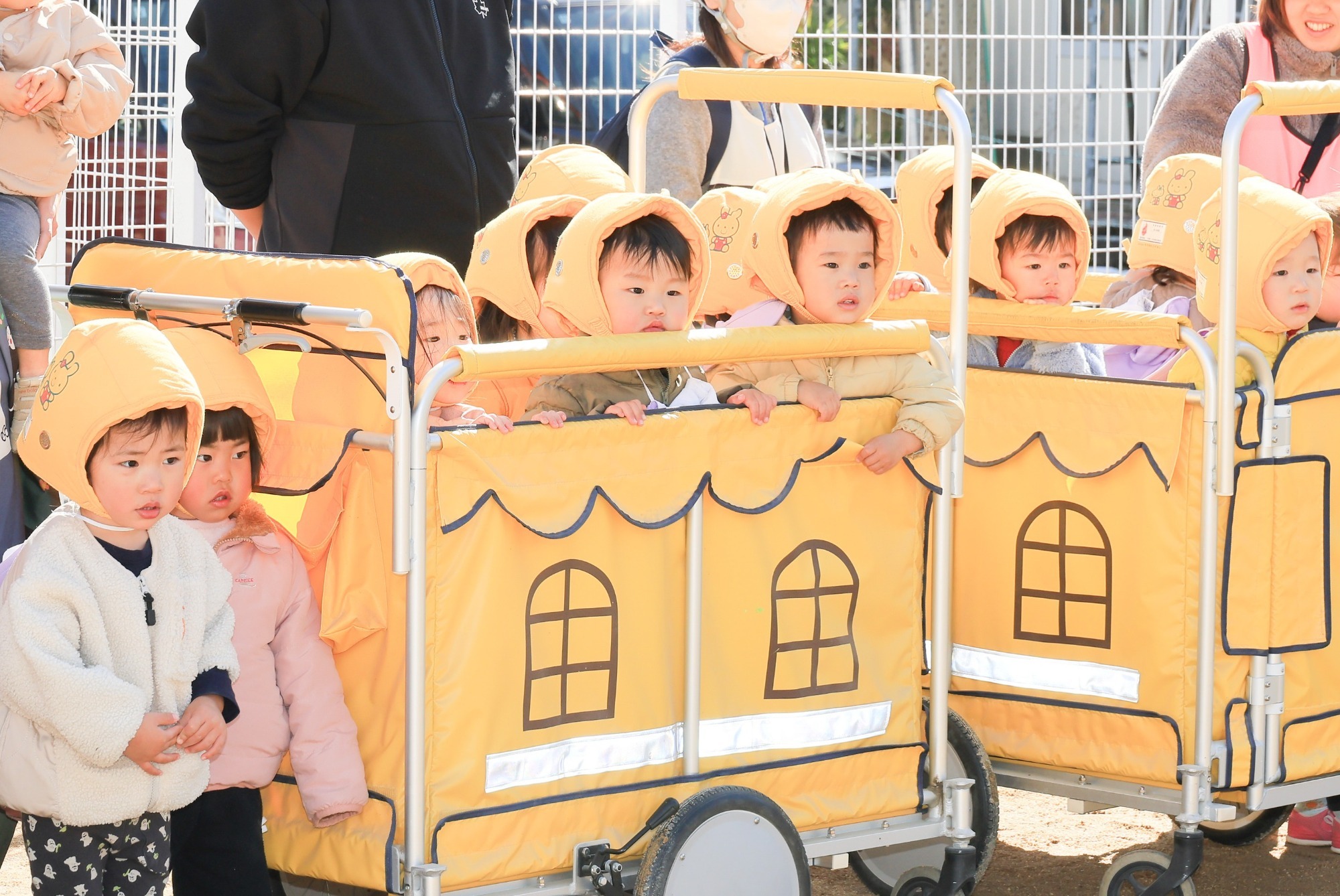 2023年11月16日　交通安全指導（幼児組）