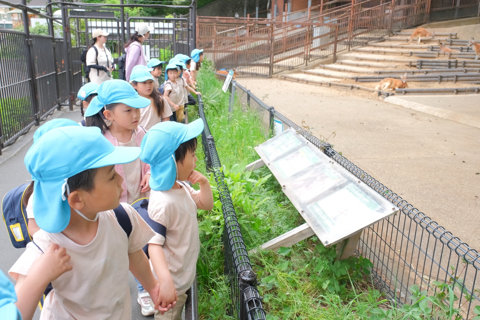2023年11月16日 交通安全指導(幼児組)