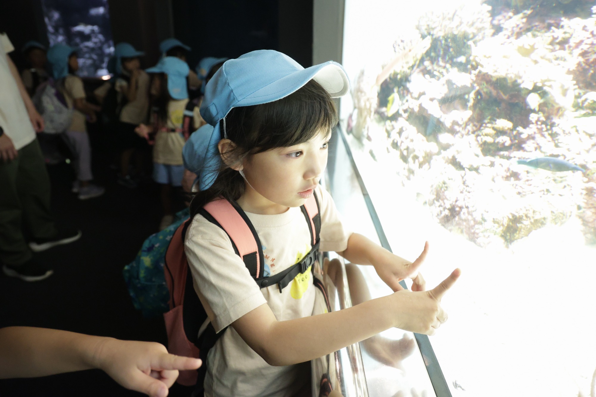 2023年11月16日 交通安全指導(幼児組)
