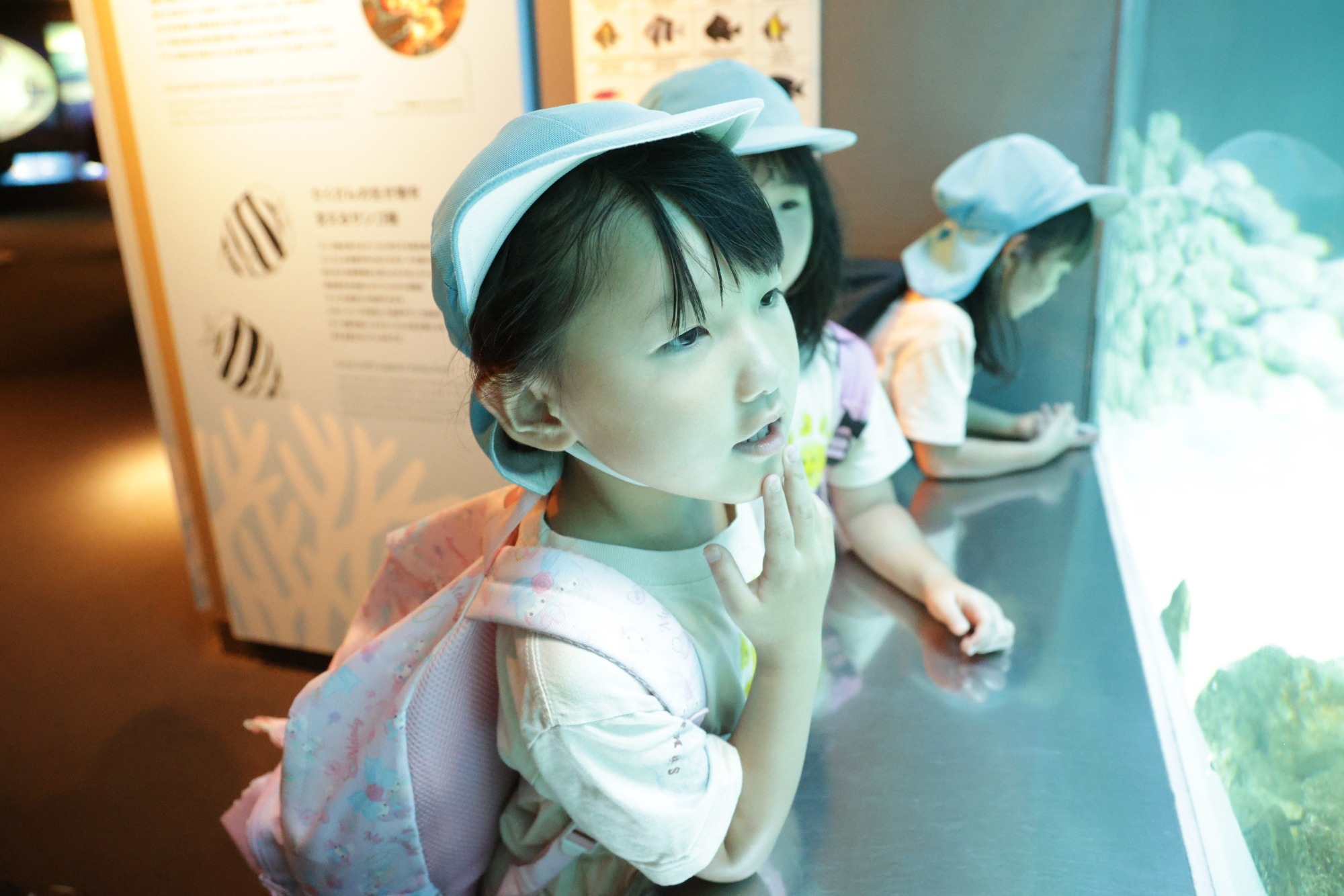 2023年11月16日 交通安全指導(幼児組)